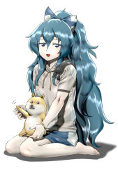 Rule 34 | 1girl, :3, bangle, barefoot, blue bow, blue eyes, blue hair, blue skirt, blush, bow, bracelet, commentary request, debt, dog, doge, full body, grey hoodie, hair between eyes, hair bow, highres, hood, hoodie, jewelry, long hair, looking at viewer, meme, nekobatake, open mouth, seiza, shiba inu, short sleeves, simple background, sitting, skirt, stuffed animal, stuffed cat, stuffed toy, touhou, very long hair, white background, yorigami shion