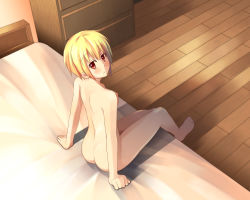 Rule 34 | 1girl, ass, bad id, bad pixiv id, barefoot, bed, blonde hair, breasts, feet, from above, highres, looking up, medium breasts, nude, original, rasukaru (a tale of a cat), red eyes, short hair, sitting, solo, toes
