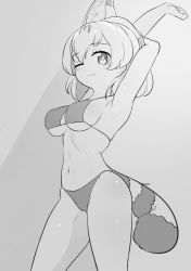 Rule 34 | 1girl, absurdres, animal ears, armpits, arms up, bikini, bob cut, breasts, cat ears, cat tail, chis (js60216), closed mouth, commentary request, greyscale, highres, kemono friends, looking at viewer, medium breasts, monochrome, navel, one eye closed, serval (kemono friends), short hair, smile, solo, standing, stretching, string bikini, striped tail, swimsuit, tail