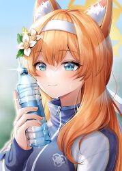 Rule 34 | 1girl, absurdres, animal ear fluff, animal ears, blue archive, blue eyes, blurry, blurry background, blush, bottle, depth of field, flower, hair flower, hair ornament, hairband, halo, highres, holding, holding bottle, jacket, long hair, long sleeves, looking at viewer, mari (blue archive), mari (track) (blue archive), menna (0012), official alternate costume, orange hair, plastic bottle, ponytail, portrait, ribbon, smile, solo, solo focus, sparkle, sweat, sweatdrop, track jacket, water bottle, white hairband, white ribbon, zipper, zipper pull tab