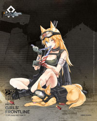 Rule 34 | 1girl, alternate costume, animal, animal ears, artist request, bandages, black footwear, black gloves, blonde hair, blue eyes, boots, breasts, character name, cleavage, closed eyes, damaged, dog, fingerless gloves, full body, girls&#039; frontline, gloves, goggles, goggles on head, gun, highres, injury, large breasts, long hair, m500 (girls&#039; frontline), m500 (mod3) (girls&#039; frontline), mod3 (girls&#039; frontline), mossberg 500, mouth hold, official alternate costume, official art, one eye closed, pump action, shotgun, shotgun shell, sitting, tail, torn clothes, weapon