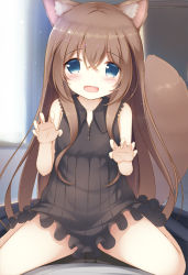 Rule 34 | 1girl, animal ears, blue eyes, blurry, blurry background, blush, brown hair, claw pose, hair between eyes, indoors, long hair, looking at viewer, open mouth, original, pov, psyche3313, sitting, sitting on person, solo focus, tail