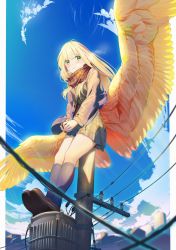 Rule 34 | 1girl, black jacket, black socks, blonde hair, blush, brown footwear, brown scarf, commentary request, day, feathered wings, from below, full body, green eyes, highres, jacket, kneehighs, long hair, long sleeves, looking at viewer, low wings, miniskirt, original, outdoors, pillarboxed, plaid, plaid scarf, plaid skirt, poligon (046), power lines, scarf, shoes, sitting, skirt, socks, solo, utility pole, v arms, wings, yellow wings