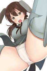 Rule 34 | 1girl, absurdres, animal ears, ass, blush, breasts, brown hair, dog ears, dog tail, ebu, gertrud barkhorn, hair ribbon, highres, long hair, looking at viewer, medium breasts, military, military uniform, open mouth, panties, pantyshot, pussy, ribbon, see-through, strike witches, tail, twintails, underwear, uniform, white panties, world witches series, yellow eyes