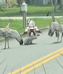 Rule 34 | 1girl, alligator, bird, black bodysuit, bodysuit, commentary request, crane (animal), crocodilian, detached sleeves, full body, genshin impact, grass, grey eyes, grey hair, hair ornament, hair over one eye, highres, lamppost, long hair, long sleeves, looking at another, ooyun, outstretched arms, photo background, road, shenhe (genshin impact), sidelocks, spread arms, standing, tree, twitter username, wide sleeves