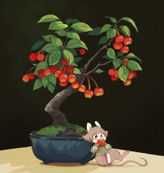 Rule 34 | 1other, :3, animal ears, black background, black eyes, bonsai, brown fur, brown hair, buck teeth, cherry, cherry tree, fang, flower pot, food, food in mouth, fruit, furry, green shirt, hands up, highres, holding, holding food, hua hua de meme, lying, moss, mouse (animal), mouse ears, mouse tail, on back, original, shirt, tail, teeth