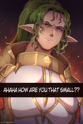 Rule 34 | 1boy, absurdres, armor, duma (fire emblem), evomanaphy, fire emblem, fire emblem heroes, frown, green hair, highres, how are you that small (meme), long hair, looking at viewer, looking down, meme, nintendo, pointy ears, ponytail, red eyes, slit pupils, white armor