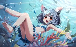 Rule 34 | 1girl, animal ears, ankle ribbon, barefoot, bikini, blush, breasts, coral, fish, grey hair, jewelry, kozakura (dictionary), leg ribbon, looking at viewer, mouse ears, mouse tail, nazrin, open mouth, polka dot, polka dot bikini, polka dot swimsuit, red eyes, ribbon, short hair, small breasts, smile, solo, swimsuit, tail, thighs, touhou, underwater
