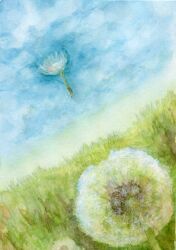 Rule 34 | amima amita, blue sky, dandelion, dandelion seed, flower, grass, highres, no humans, original, painting (medium), plant, scenery, sky, traditional media, watercolor (medium)
