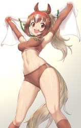 Rule 34 | 10s, 1girl, animal ears, armpits, arms up, breasts, brown eyes, brown gloves, brown hair, brown socks, brown sports bra, buruma, chestnut thoroughbred (kemono friends), contrapposto, gloves, gradient background, guchico, highres, horse ears, horse girl, horse tail, japan racing association, kemono friends, kneehighs, long hair, looking at viewer, medium breasts, midriff, multicolored hair, navel, open mouth, ponytail, simple background, smile, socks, solo, sports bra, sportswear, standing, sweat, tail, white background, white hair