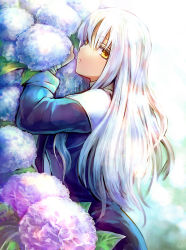 Rule 34 | 1girl, bad id, bad pixiv id, bandages, caren hortensia, fate/hollow ataraxia, fate (series), flower, gradient background, hydrangea, long hair, name connection, solo, ty 1865, white hair, yellow eyes