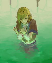Rule 34 | 1girl, arm warmers, blonde hair, brown shirt, closed mouth, commentary request, expressionless, green eyes, looking at viewer, mizuhashi parsee, one eye closed, partially submerged, pointy ears, sash, scarf, shadlow, shirt, short hair, short sleeves, solo, touhou, upper body, water, white sash, white scarf