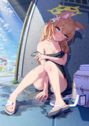 Rule 34 | absurdres, akahara mory, animal ear fluff, animal ears, bare arms, bare legs, black one-piece swimsuit, blue archive, blue eyes, blush, breasts, casual one-piece swimsuit, closed mouth, collarbone, commentary request, day, flower, frilled one-piece swimsuit, frills, full body, hair flower, hair ornament, halo, highres, izuna (blue archive), izuna (swimsuit) (blue archive), long hair, looking at viewer, mari (blue archive), mari (swimsuit) (blue archive), official alternate costume, one-piece swimsuit, orange hair, outdoors, poolside, presenting tanlines, sandals, small breasts, sunlight, swimsuit, tan, tanline, toeless footwear, toes, tube, undressing, water, wavy mouth, wet, wet floor, white bag, yellow halo