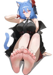 1girl absurdres animal_ears barefoot blue_hair cat_ears cat_tail feet highres light_smile long_hair looking_at_viewer original red_eyes soles suiryuu_(18559651) tail toes