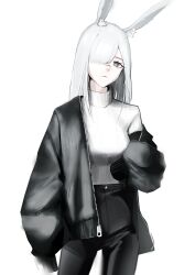 Rule 34 | 1girl, absurdres, animal ear fluff, animal ears, arknights, black jacket, black pants, breasts, commentary, english commentary, frostnova (arknights), grey eyes, hair over one eye, highres, jacket, long hair, long sleeves, looking at viewer, medium breasts, open clothes, open jacket, pants, parted lips, rabbit ears, rabbit girl, simple background, single off shoulder, sleeves past fingers, sleeves past wrists, solo, sweater, tflop (tea flop), white background, white hair, white sweater, zipper pull tab