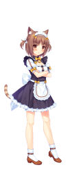 Rule 34 | 1girl, :3, absurdres, animal ear fluff, animal ears, apron, azuki (nekopara), bell, blush, brown eyes, brown footwear, brown hair, cat ears, cat girl, cat tail, character name, crossed arms, full body, heel up, highres, looking at viewer, maid, maid headdress, mary janes, name tag, nekopara, sayori (neko works), shoes, short hair, short sleeves, simple background, solo, standing, striped tail, tail, two side up, waist apron, white background, wrist cuffs