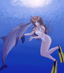 Rule 34 | blue eyes, brown hair, bubble, dolphin, flippers, freediving, long hair, non-web source, one-piece swimsuit, solo, swimming, swimsuit, underwater