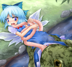 Rule 34 | 1girl, blue eyes, blue hair, bohemian archive in japanese red, bow, cirno, eyebrows, fairy, frog, hair bow, long tongue, matching hair/eyes, monster, open mouth, sexually suggestive, shimo (depthbomb), short hair, solo, tears, tongue, tongue out, touhou, vore, wings