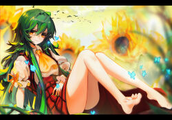Rule 34 | 1girl, absurdres, ahoge, ascot, ass, bare legs, barefoot, bird, blush, bug, butterfly, closed mouth, cloud, commentary, day, fingernails, flock, flower, green hair, green nails, hair between eyes, highres, insect, kazami yuuka, legs, long hair, looking at viewer, mei gushi de shen yue, nail polish, outdoors, plaid, plaid skirt, plaid vest, plant, puffy short sleeves, puffy sleeves, red eyes, red skirt, red vest, shirt, short sleeves, sitting, skirt, skirt set, smile, solo, sunflower, symbol-only commentary, toenail polish, toenails, touhou, very long hair, vest, vines, white nails, white shirt, yellow ascot