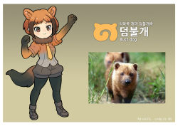 Rule 34 | 10s, 1girl, animal, animal ears, arm up, black pantyhose, boots, brown eyes, brown hair, bush dog, clenched hands, commentary request, dated, elbow gloves, extra ears, fur collar, gloves, gradient background, gradient gloves, gradient shirt, hand up, japari symbol, kemono friends, korean commentary, korean text, multicolored hair, necktie, orange hair, original, pantyhose, pantyhose under shorts, personification, photo-referenced, photo inset, puffy shorts, reference inset, roonhee, short hair, short sleeves, shorts, simple background, smile, solo, tail, two-tone hair, v-shaped eyebrows, yellow necktie