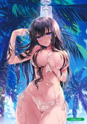 Rule 34 | 1girl, absurdres, artist name, bare arms, bikini, bikini bottom only, black hair, blush, breasts, carnelian, closed eyes, cloud, cloudy sky, collarbone, day, fingernails, gluteal fold, highres, holding, large breasts, lips, long hair, looking at viewer, melonbooks, navel, nipples, outdoors, palm leaf, palm tree, purple eyes, scan, showering, side-tie bikini bottom, sky, smile, solo, stomach, swimsuit, thighs, topless, tree, water, water drop, wet, wet clothes
