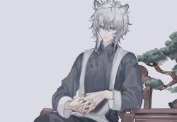 Rule 34 | 1boy, alternate costume, animal ears, arknights, bonsai, chair, changpao, chinese clothes, chinese commentary, closed mouth, commentary request, fingernails, gou haihaihaihai, grey background, grey eyes, grey hair, grey shirt, hair between eyes, highres, interlocked fingers, jewelry, leopard ears, long sleeves, looking at viewer, male focus, on chair, own hands together, ring, shirt, short hair, silverash (arknights), simple background, sitting, solo, upper body