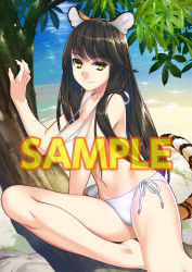 Rule 34 | 1girl, animal ears, barefoot, beach, bikini, breasts, brown hair, character request, collarbone, copyright request, day, ino (magloid), large breasts, long hair, looking at viewer, nature, navel, ocean, outdoors, sample watermark, sand, shore, side-tie bikini bottom, sitting, smile, solo, striped tail, swimsuit, tail, tiger, tiger ears, tiger girl, tiger tail, toranoana, tree, water, watermark, white bikini, yellow eyes