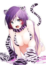 Rule 34 | 1girl, :o, all fours, animal ear fluff, animal ears, animal hands, animal print, aqua eyes, bikini, blush, breasts, cleavage, fangs, gloves, hanging breasts, highres, large breasts, long hair, looking at viewer, love live!, love live! school idol project, low twintails, matatabianko, open mouth, paw gloves, print bikini, print scarf, purple hair, scarf, simple background, solo, swept bangs, swimsuit, tail, tiger ears, tiger girl, tiger print, tiger stripes, tiger tail, tojo nozomi, twintails, white background