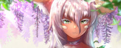 Rule 34 | 1other, :3, animal ear fluff, animal ears, body fur, brown fur, closed mouth, colored eyelashes, commentary, english commentary, flower, furry, green eyes, hair between eyes, highres, leaf, long hair, looking at viewer, made in abyss, nanachi (made in abyss), neck ribbon, portrait, purple flower, purple ribbon, ribbon, roxenne, smile, solo, whiskers, white hair, wisteria