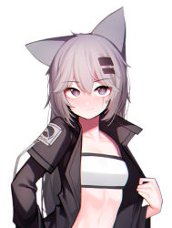 Rule 34 | 1girl, absurdres, animal ears, arknights, bandeau, beudelb, black jacket, blush, breasts, commentary, fang, grey hair, hair between eyes, hair ornament, hairclip, highres, jacket, korean commentary, lappland (arknights), long hair, looking at viewer, open clothes, open jacket, scar, scar across eye, scar on face, simple background, skin fang, small breasts, solo, upper body, white background, white bandeau, wolf ears