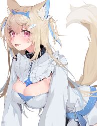 Rule 34 | 1girl, absurdres, animal ear fluff, animal ears, bandaid, bandaid on face, belt, belt collar, black collar, blonde hair, blue belt, blue hair, blush, breasts, cleavage, collar, dog ears, dog girl, dog tail, dress, fuwawa abyssgard, fuwawa abyssgard (1st costume), hair ornament, hairpin, highres, hololive, hololive english, kirara hoshiyama, large breasts, long hair, multicolored hair, pink eyes, smile, solo, spiked collar, spikes, streaked hair, tail, tongue, tongue out, two side up, virtual youtuber, white dress