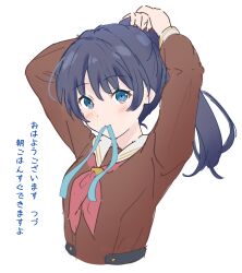 Rule 34 | 1girl, arms up, blue eyes, blue hair, blue ribbon, blush, brown dress, commentary request, cropped torso, dark blue hair, dress, hasu no sora school uniform, high ponytail, highres, link! like! love live!, lone nape hair, long hair, long sleeves, looking at viewer, love live!, mole, mole on neck, mouth hold, murano sayaka, neckerchief, no cardigan, red neckerchief, ribbon, sailor collar, sailor dress, school uniform, simple background, solo, translation request, tying hair, virtual youtuber, white background, white sailor collar, winter uniform, yutuki ame