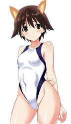 Rule 34 | 1girl, animal ears, arms behind back, blush, brown eyes, brown hair, competition swimsuit, highleg, highleg swimsuit, kyogoku shin, looking at viewer, miyafuji yoshika, one-piece swimsuit, open mouth, short hair, solo, strike witches, swimsuit, world witches series