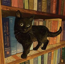 Rule 34 | animal, animal focus, artist name, book, bookshelf, cat, catwheezie, indoors, looking at viewer, original, watermark