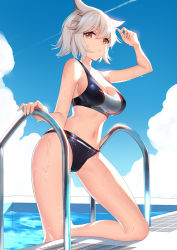 Rule 34 | 1girl, animal ears, arm up, bare arms, bare shoulders, bikini, bismarck (warship girls r), bison cangshu, black bikini, breasts, cleavage, closed mouth, day, gluteal fold, large breasts, looking at viewer, navel, orange eyes, outdoors, poolside, short hair, solo, stomach, swimsuit, thighs, warship girls r, water, wet, white hair