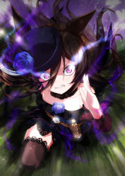 Rule 34 | 1girl, animal ears, blue dress, blue flower, blue hat, blue rose, bowler hat, brown hair, clenched teeth, dagger, dashing, dress, eye trail, flower, glowing, glowing eyes, hat, hat flower, highres, horse ears, knife, lace, lace-trimmed legwear, lace trim, light trail, long hair, long sleeves, looking at viewer, motion lines, off-shoulder dress, off shoulder, porurin, purple eyes, rice shower (umamusume), rose, running, sheath, sheathed, sleeveless, sleeveless dress, solo, teeth, thighhighs, umamusume, weapon