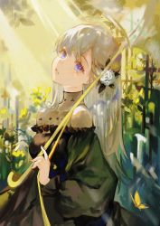 Rule 34 | 1girl, absurdres, bare shoulders, black dress, breasts, copyright request, dress, flower, frilled dress, frills, grey hair, hair flower, hair ornament, hand up, highres, holding, holding umbrella, long hair, long sleeves, looking at viewer, minini97372, off-shoulder dress, off shoulder, procreate (medium), puffy long sleeves, puffy sleeves, purple eyes, rose, small breasts, solo, transparent, transparent umbrella, umbrella, very long hair, white flower, white rose, yellow flower