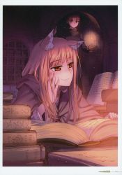 Rule 34 | 1boy, 1girl, absurdres, animal ears, black dress, book, brown cloak, brown hair, candle, cloak, closed mouth, dress, elsa schtingheim, fang, fang out, head rest, highres, holding, holo, hood, hood down, hooded cloak, indoors, jewelry, koume keito, long hair, long sleeves, necklace, official art, open book, orange eyes, page number, reading, scan, smile, spice and wolf, straight hair, wolf ears