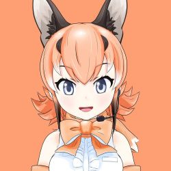 Rule 34 | animal costume, animal ear fluff, animal ears, blue eyes, bow, bowtie, caracal (kemono friends), caracal ears, elbow gloves, gloves, kemono friends, kemono friends v project, long hair, microphone, multicolored hair, official art, open mouth, orange background, orange hair, scarf, shirt, simple background, sleeveless, sleeveless shirt, smile, virtual youtuber, white shirt