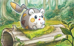 Rule 34 | :o, black eyes, creature, creatures (company), day, forest, full body, game freak, gen 7 pokemon, nature, nintendo, no humans, official art, pokemon, pokemon (creature), pokemon tcg, sitting, solo, sowsow, third-party source, togedemaru, tree