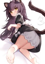 Rule 34 | 1girl, absurdres, ahoge, all fours, animal ear fluff, animal ears, bare legs, barefoot, black dress, bloomers, blush, closed mouth, dress, feet, from behind, highres, long hair, looking at viewer, looking back, nahaki, original, puffy short sleeves, puffy sleeves, purple hair, short sleeves, simple background, soles, solo, tail, toes, underwear, white bloomers, yellow eyes