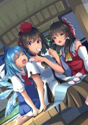 Rule 34 | 3girls, ^ ^, amanoyayuki, angry, ascot, barefoot, black hair, black skirt, blue dress, blue hair, blush, bow, brown hair, cirno, closed eyes, collared shirt, commentary request, detached sleeves, dot nose, dress, food, frilled shirt collar, frills, frown, hair bow, hair tubes, hakurei reimu, hat, highres, ice, ice wings, long hair, long sleeves, mochi, multiple girls, nontraditional miko, open mouth, pillar, pinafore dress, pointy ears, puffy short sleeves, puffy sleeves, red ascot, red bow, red eyes, red headwear, red skirt, red vest, shameimaru aya, shirt, short hair, short sleeves, sidelocks, sitting, skirt, sleeveless dress, tatami, teeth, tokin hat, tongue, touhou, upper teeth only, v-shaped eyebrows, vest, wariza, white shirt, wide sleeves, wing collar, wings, wooden floor, yellow ascot, yellow eyes