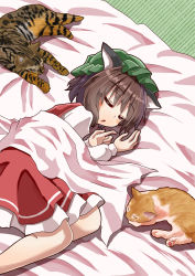 Rule 34 | 1girl, :o, animal ears, blush, brown hair, cat, cat ears, chen, commentary request, feet out of frame, futon, green headwear, hair between eyes, hat, highres, long sleeves, lying, mob cap, on side, petticoat, red skirt, red vest, shirt, short hair, skirt, sleeping, sugiyama ichirou, tatami, touhou, under covers, vest, white shirt