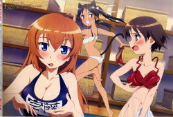 Rule 34 | absurdres, animal ears, black hair, blue eyes, breasts, brown eyes, brown hair, charlotte e. yeager, cleavage, flat chest, francesca lucchini, highres, miyafuji yoshika, one-piece swimsuit, orange hair, school swimsuit, strike witches, swimsuit, tail, world witches series