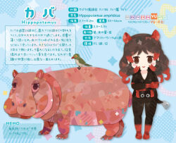 Rule 34 | 1girl, animal, animal ears, bird, black eyes, blue background, boots, extra ears, gloves, hippopotamus, hippopotamus (kemono friends), hippopotamus ears, jacket, kemono friends, kikuchi milo, long hair, looking at viewer, multicolored hair, red hair, simple background, tail, translation request, two-tone hair, zipper