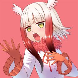 Rule 34 | 10s, 1girl, black hair, blunt bangs, fur collar, gloves, gradient hair, head wings, highres, japanese crested ibis (kemono friends), jitome, kemono friends, long hair, long sleeves, multicolored hair, music, open mouth, pleated sleeves, red background, red gloves, red hair, shirt, sidelocks, simple background, singing, sion (sion9117ys), solo, upper body, white hair, white shirt, wide sleeves, wings, yellow eyes