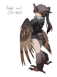 Rule 34 | 1girl, absurdres, bird legs, bird tail, black eyes, black jacket, brown feathers, brown hair, brown wings, colored sclera, commentary, feathers, gomulgong, harpy, highres, hood, hood down, jacket, long hair, looking at viewer, looking back, monster girl, neck ruff, original, owl girl, ponytail, short shorts, shorts, solo, tail, talons, winged arms, wings, yellow sclera