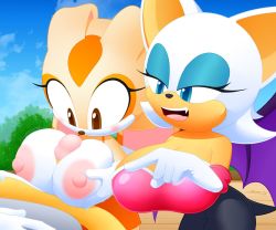 Rule 34 | 1boy, 2girls, blue eyes, breasts, brown eyes, cream the rabbit, furry, huge breasts, large breasts, multiple girls, oppai loli, rouge the bat, sex ed, slickehedge, sonic (series), tails (sonic), teaching