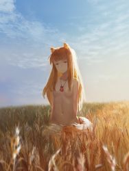 Rule 34 | 1girl, animal ears, arms behind back, breasts, brown hair, ciel (19940421), hair over breasts, highres, holo, long hair, looking at viewer, nipples, nude, pouch, red eyes, small breasts, smile, solo, spice and wolf, tail, wheat, wheat field, wolf ears, wolf tail