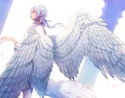 Rule 34 | 1boy, blurry, blurry background, clona, column, feathered wings, hair between eyes, hair ribbon, highres, jewelry, long hair, outdoors, pillar, pixiv fantasia, pixiv fantasia age of starlight, pointy ears, ribbon, ring, solo, standing, tail, white hair, white wings, wings